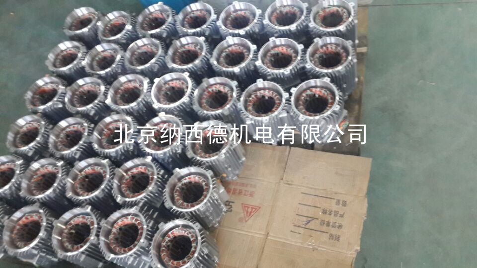 漩渦氣泵的防護等級